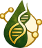 illustration of hormones